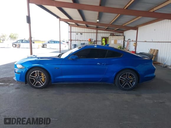 ✅ 2021 Ford Mustang GT • VIN: 1FA6P8CFXM5101257 • Lot: 42207879. Listed on IAAI with 37,036 mi. Free auction sales archive from the USA and detailed vehicle history report at DreamBid. Image 14.