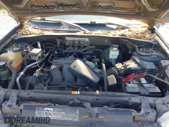 ✅ 2006 Ford Escape XLT • VIN: 1FMYU031X6KB00529 • Lot: 42142206. Listed on IAAI with 125,462 mi. Free auction sales archive from the USA and detailed vehicle history report at DreamBid. Image 10.