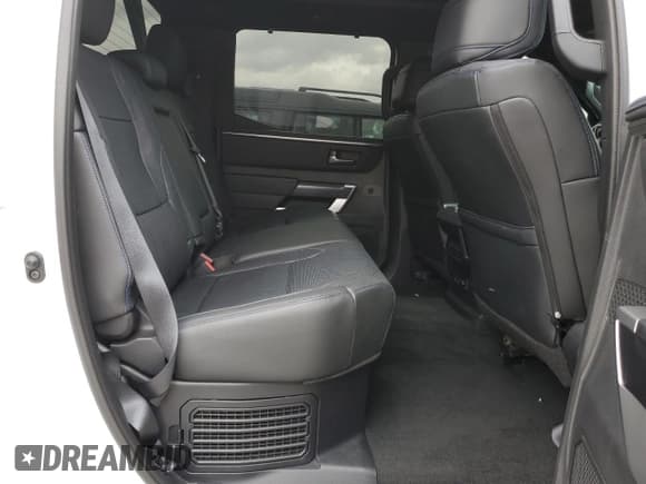 ✅ 2024 Toyota Tundra Platinum Hybrid • VIN: 5TFNC5DB6RX048239 • Lot: 53839275. Wystawiony na Copart z przebiegiem 17 177 mil. Bezpłatny archiwum sprzedaży aukcyjnych z USA i szczegółowy raport historii pojazdu na DreamBid. Zdjęcie 10.