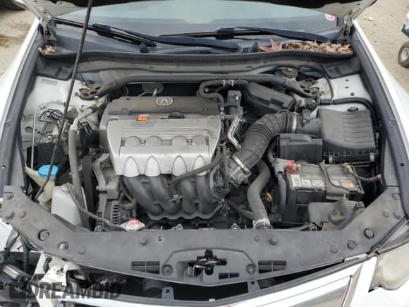 ✅ 2014 Acura TSX Special Edition • VIN: JH4CU2F89EC003705 • Lot: 81041384. Listed on Copart with 195,172 mi. Free auction sales archive from the USA and detailed vehicle history report at DreamBid. Image 11.