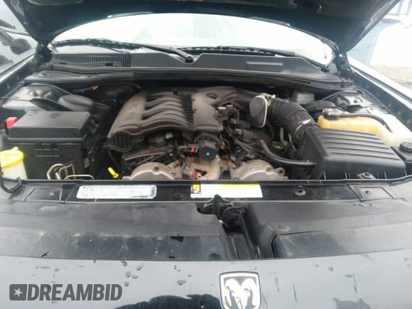 ✅ 2010 Dodge Challenger SE • VIN: 2B3CJ4DV3AH109316 • Lot: 41315941. Wystawiony na IAAI z przebiegiem 102 566 mil. Bezpłatny archiwum sprzedaży aukcyjnych z USA i szczegółowy raport historii pojazdu na DreamBid. Zdjęcie 10.