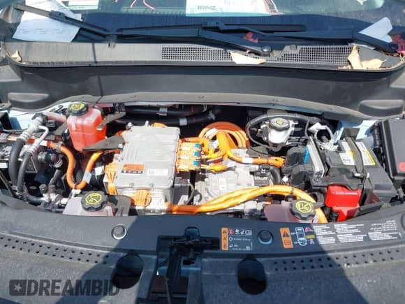 2023 Chevrolet Bolt EUV LT с VIN 1G1FY6S03P4123404, выставлен на аукционе IAAI как лот 43394743 с пробегом 13 257 миль миль и . История ставок и продаж доступна на DreamBid. Изображение 10.