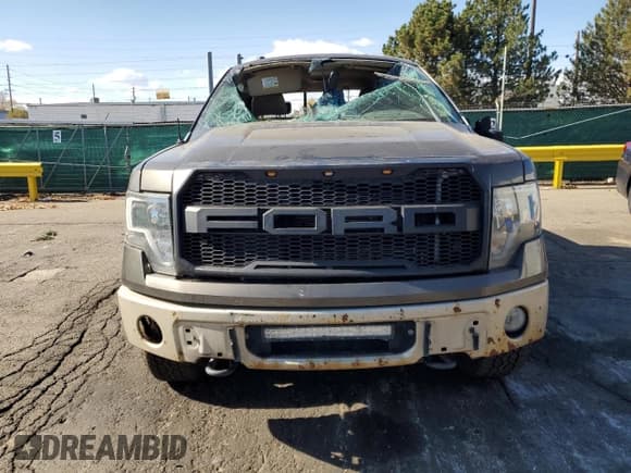 ✅ 2009 Ford F-150 XL • VIN: 1FTPW14V39FA81420 • Lot: 91905955. Listed on Copart with 222,189 mi. Free auction sales archive from the USA and detailed vehicle history report at DreamBid. Image 5.