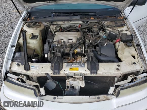 ✅ 1995 Buick Regal Custom • VIN: 2G4WB52M6S1502712 • Lot: 68679895. Listed on Copart with 97,024 mi. Free auction sales archive from the USA and detailed vehicle history report at DreamBid. Image 11.