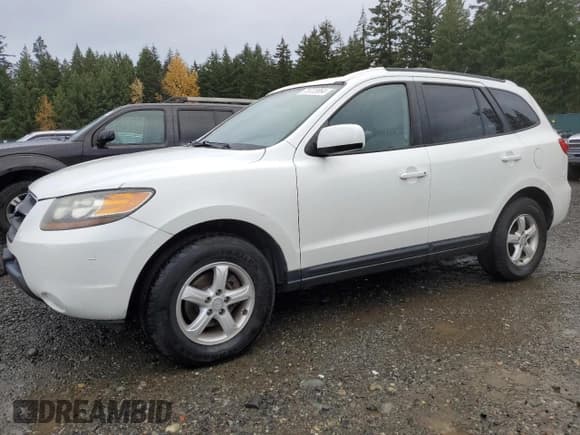 ✅ 2007 Hyundai Santa Fe GLS • VIN: 5NMSG13D97H069644 • Lot: 78723864. Listed on Copart with 154,258 mi. Free auction sales archive from the USA and detailed vehicle history report at DreamBid. Image 1.