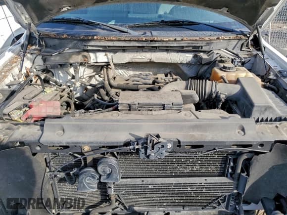 ✅ 2011 Ford F-150 XLT • VIN: 1FTFX1EF1BFC07599 • Lot: 96803035. Listed on Copart with 258,404 mi. Free auction sales archive from the USA and detailed vehicle history report at DreamBid. Image 11.