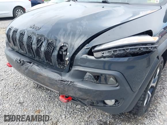 ✅ 2017 Jeep Cherokee Trailhawk • VIN: 1C4PJMBS1HW569093 • Лот: 42286940. Опубликован ранее на IAAI с пробегом 121 876 миль. Бесплатный доступ к архиву аукционных продаж из США и подробный отчёт об истории автомобиля на DreamBid. Изображение 6.