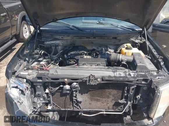 ✅ 2014 Ford F-150 XL • VIN: 1FTEX1CM1EFC86855 • Lot: 43162751. Wystawiony na IAAI z przebiegiem 212 206 mil. Bezpłatny archiwum sprzedaży aukcyjnych z USA i szczegółowy raport historii pojazdu na DreamBid. Zdjęcie 10.