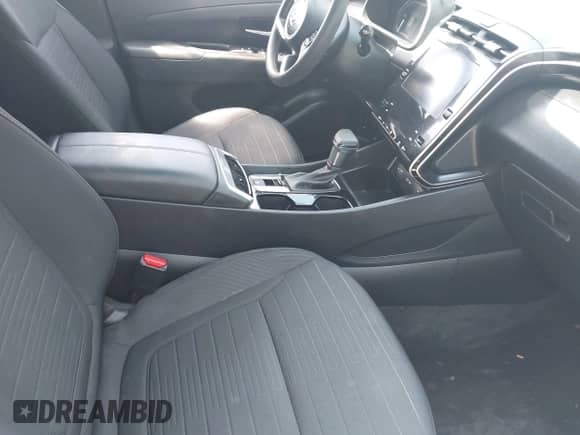 ✅ 2024 Hyundai Santa Cruz SEL • VIN: 5NTJBDDE8RH110825 • Лот: 42230112. Размещён на IAAI с пробегом 18 135 миль миль. Получите бесплатный доступ к архиву аукционных продаж из США и посмотрите подробный отчёт об истории автомобиля на DreamBid. Изображение 5.