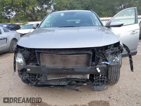 ✅ 2024 Hyundai Tucson SEL • VIN: 5NMJBCDE5RH299374 • Lot: 43641384. Wystawiony na IAAI z przebiegiem 59 648 mil. Bezpłatny archiwum sprzedaży aukcyjnych z USA i szczegółowy raport historii pojazdu na DreamBid. Zdjęcie 6.