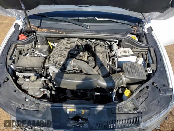 ✅ 2023 Dodge Durango GT • VIN: 1C4RDHDG5PC572062 • Lot: 65043235. Wystawiony na Copart z przebiegiem 76 949 mil. Bezpłatny archiwum sprzedaży aukcyjnych z USA i szczegółowy raport historii pojazdu na DreamBid. Zdjęcie 12.