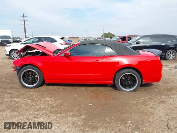 2014 Ford Mustang V6 с VIN 1ZVBP8EMXE5245569, выставлен на аукционе IAAI как лот 43398061 с пробегом Не указан миль и . История ставок и продаж доступна на DreamBid. Изображение 15.