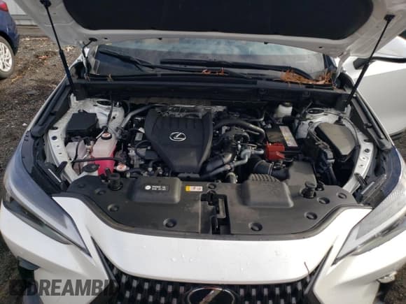 ✅ 2024 Lexus NX 350 Premium • VIN: JTJGGCEZ2R2015617 • Lot: 93208615. Wystawiony na Copart z przebiegiem 21 341 mil. Bezpłatny archiwum sprzedaży aukcyjnych z USA i szczegółowy raport historii pojazdu na DreamBid. Zdjęcie 12.