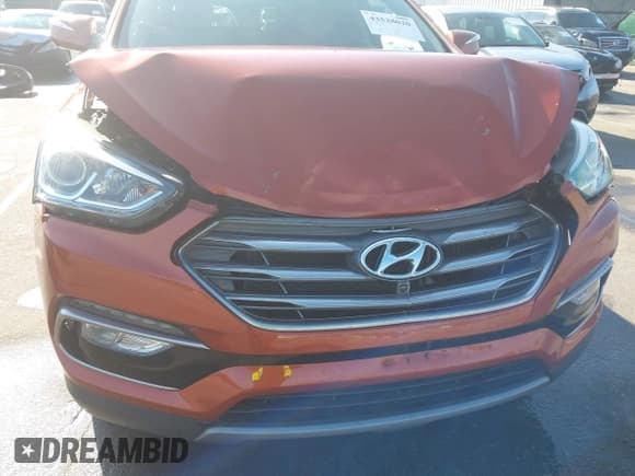 ✅ 2017 Hyundai Santa Fe Ultimate • VIN: 5XYZW4LA7HG466015 • Lot: 43528020. Listed on IAAI with 73,906 mi. Free auction sales archive from the USA and detailed vehicle history report at DreamBid. Image 6.