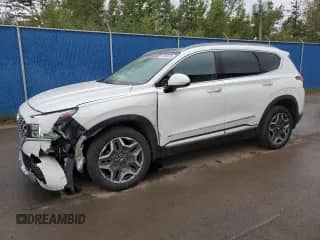 2023 Hyundai Santa Fe Limited с VIN KM8S7DA2XPU098108, выставлен на аукционе Copart как лот 81365675 с пробегом 48 830 миль миль и Списание • Salvage title. История ставок и продаж доступна на DreamBid. Изображение 1.