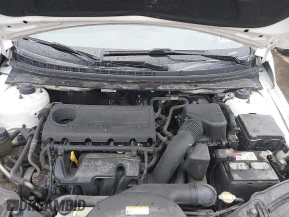 ✅ 2012 Kia Forte EX • VIN: KNAFU4A22C5522509 • Лот: 43719650. Опубликован ранее на IAAI с пробегом 121 904 миль. Бесплатный доступ к архиву аукционных продаж из США и подробный отчёт об истории автомобиля на DreamBid. Изображение 10.