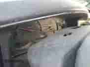 2004 Dodge Dakota SLT with VIN 1D7HL48KX4S730862, listed as a Copart auction lot 80699734 with Not provided miles and Non repairable. Bid and sale history available at DreamBid. Image 9.