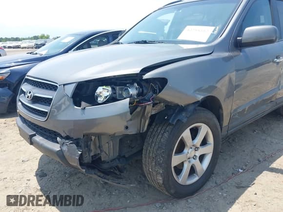 ✅ 2009 Hyundai Santa Fe SE • VIN: 5NMSH13E89H325006 • Lot: 42298182. Listed on IAAI with 164,253 mi. Free auction sales archive from the USA and detailed vehicle history report at DreamBid. Image 6.