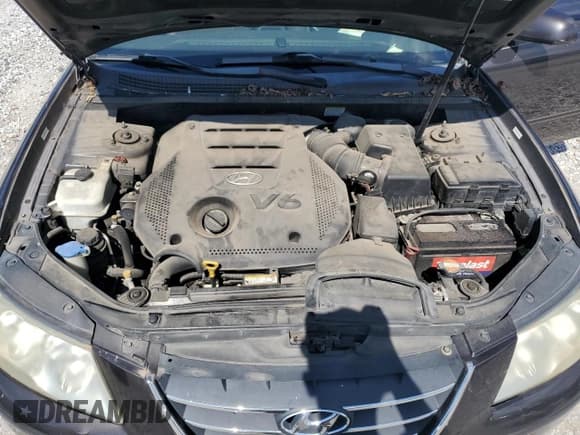 ✅ 2009 Hyundai Sonata GLS • VIN: 5NPET46F59H548916 • Lot: 83765635. Listed on Copart with 203,812 mi. Free auction sales archive from the USA and detailed vehicle history report at DreamBid. Image 11.