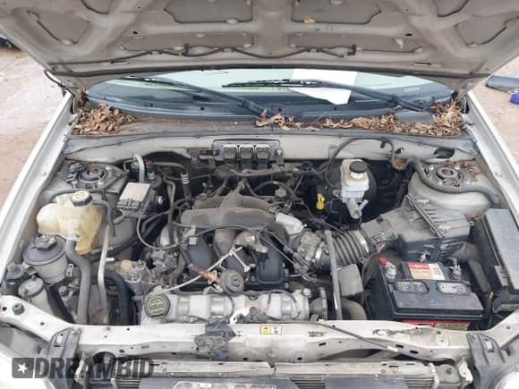 2005 Mercury Mariner Luxury z VIN 4M2YU56175DJ10333, wystawiony jako IAAI lot #41644749 z przebiegiem 174 477 mil mil oraz . Historia ofert i sprzedaży dostępna na DreamBid. Obrazek 10.