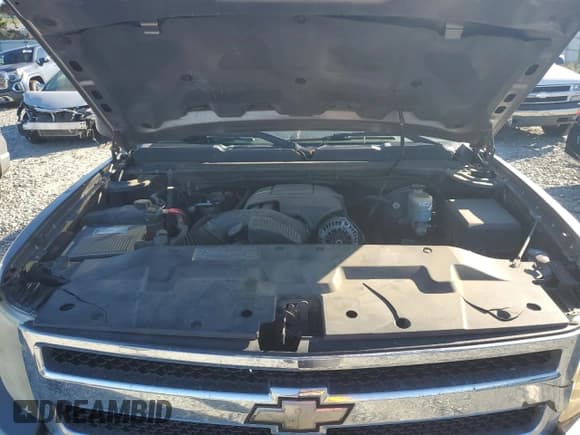 ✅ 2009 Chevrolet Silverado 1500 Work Truck • VIN: 2GCEC19C191119743 • Lot: 74348234. Listed on Copart with 228,738 mi. Free auction sales archive from the USA and detailed vehicle history report at DreamBid. Image 11.