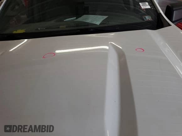 2019 Chevrolet Silverado 1500 Work Truck z VIN 1GCUYAEF8KZ350097, wystawiony jako IAAI lot #42484429 z przebiegiem 117 478 mil mil oraz . Historia ofert i sprzedaży dostępna na DreamBid. Obrazek 1.