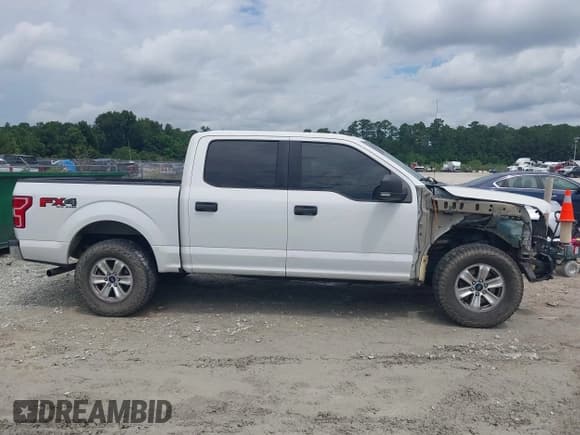 ✅ 2019 Ford F-150 XL • VIN: 1FTEW1E51KFB91149 • Lot: 42985782. Listed on IAAI with 156,461 mi. Free auction sales archive from the USA and detailed vehicle history report at DreamBid. Image 13.