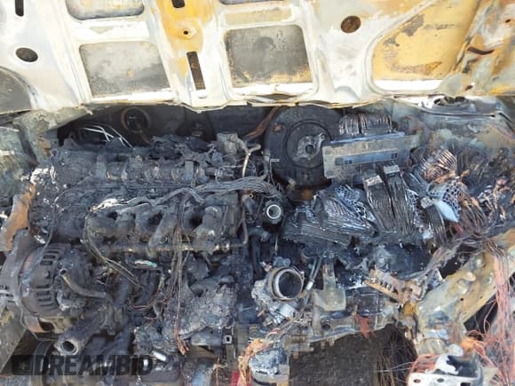 ✅ 2019 Hyundai Elantra Sport • VIN: KMHD04LB1KU860759 • Lot: 43603334. Listed on IAAI with Not provided. Free auction sales archive from the USA and detailed vehicle history report at DreamBid. Image 10.