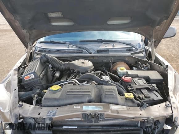 ✅ 2001 Dodge Durango • VIN: 1B4HS28Z21F527495 • Лот: 81225765. Опубликован ранее на Copart с пробегом 175 081 миль. Бесплатный доступ к архиву аукционных продаж из США и подробный отчёт об истории автомобиля на DreamBid. Изображение 12.