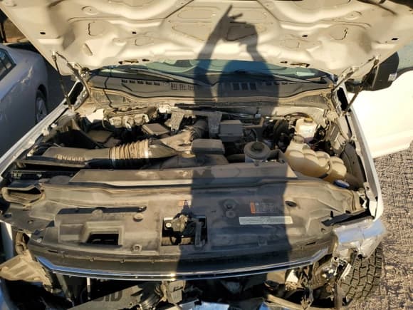 ✅ 2020 Ford F-250 XL • VIN: 1FD7W2A68LED22559 • Lot: 81352984. Listed on Copart with Not provided. Free auction sales archive from the USA and detailed vehicle history report at DreamBid. Image 11.