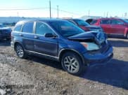 ✅ 2009 Honda CR-V LX • VIN: 5J6RE48379L070082 • Lot: 43553046. Listed on IAAI with 214,035 mi. Free auction sales archive from the USA and detailed vehicle history report at DreamBid. Image 1.