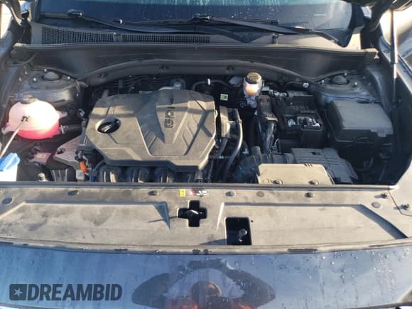 ✅ 2021 Hyundai Santa Fe SEL • VIN: 5NMS2DAJ6MH351860 • Lot: 38989994. Wystawiony na Copart z przebiegiem 13 938 mil. Bezpłatny archiwum sprzedaży aukcyjnych z USA i szczegółowy raport historii pojazdu na DreamBid. Zdjęcie 12.