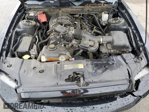 ✅ 2014 Ford Mustang Premium • VIN: 1ZVBP8AM2E5214600 • Лот: 90124945. Опубликован ранее на Copart с пробегом 124 085 миль. Бесплатный доступ к архиву аукционных продаж из США и подробный отчёт об истории автомобиля на DreamBid. Изображение 11.