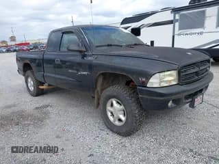✅ 2000 Dodge Dakota • VIN: 1B7GG22X1YS508459 • Lot: 43657904. Listed on IAAI with 240,025 mi. Free auction sales archive from the USA and detailed vehicle history report at DreamBid. Image 1.