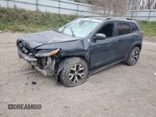 ✅ 2017 Jeep Cherokee Trailhawk • VIN: 1C4PJMBS5HW539000 • Lot: 91345535. Listed on Copart with 172,277 mi. Free auction sales archive from the USA and detailed vehicle history report at DreamBid. Image 1.