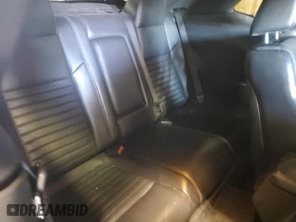 ✅ 2013 Dodge Challenger Rallye Redline • VIN: 2C3CDYAG6DH675126 • Lot: 45531025. Wystawiony na Copart z przebiegiem 184 389 mil. Bezpłatny archiwum sprzedaży aukcyjnych z USA i szczegółowy raport historii pojazdu na DreamBid. Zdjęcie 10.