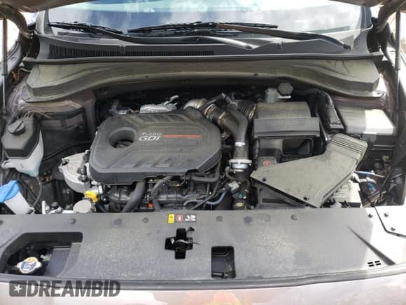 ✅ 2020 Hyundai Santa Fe SEL • VIN: 5NMS3CAA2LH218941 • Lot: 50807492. Wystawiony na Copart z przebiegiem 16 732 mil. Bezpłatny archiwum sprzedaży aukcyjnych z USA i szczegółowy raport historii pojazdu na DreamBid. Zdjęcie 7.