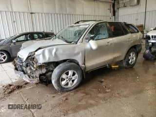 2006 Hyundai Santa Fe GLS z VIN KM8SC73E06U073883, wystawiony jako Copart lot #51303995 z przebiegiem Nie podano mil oraz Nie do naprawy • Non repairable. Historia ofert i sprzedaży dostępna na DreamBid. Obrazek 1.