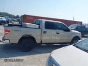 ✅ 2009 Ford F-150 XL • VIN: 1FTPW14V69FA94565 • Lot: 43018967. Wystawiony na IAAI z przebiegiem 356 935 mil. Bezpłatny archiwum sprzedaży aukcyjnych z USA i szczegółowy raport historii pojazdu na DreamBid. Zdjęcie 13.