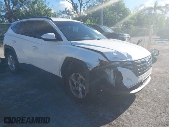 ✅ 2024 Hyundai Tucson SEL • VIN: 5NMJB3DE9RH295599 • Lot: 43244393. Wystawiony na IAAI z przebiegiem 45 794 mil. Bezpłatny archiwum sprzedaży aukcyjnych z USA i szczegółowy raport historii pojazdu na DreamBid. Zdjęcie 1.