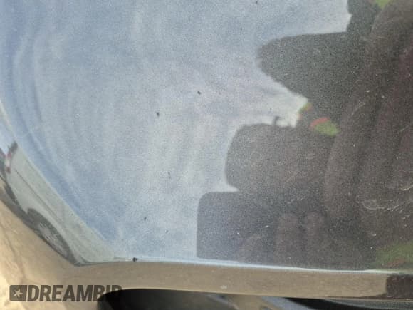 ✅ 2020 Ford Explorer XLT • VIN: 1FMSK8DH7LGC51705 • Lot: 42239633. Wystawiony na IAAI z przebiegiem 114 835 mil. Bezpłatny archiwum sprzedaży aukcyjnych z USA i szczegółowy raport historii pojazdu na DreamBid. Zdjęcie 1.