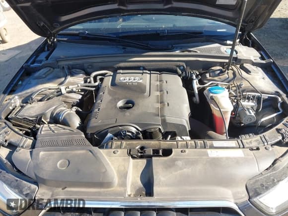 ✅ 2015 Audi A4 Premium Plus • VIN: WAUFFAFL9FN036844 • Лот: 43608402. Опубликован ранее на IAAI с пробегом 87 058 миль. Бесплатный доступ к архиву аукционных продаж из США и подробный отчёт об истории автомобиля на DreamBid. Изображение 10.