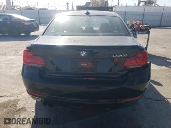 ✅ 2020 BMW 2 Series 230i • VIN: WBA2J1C02L7E63633 • Lot: 49740425. Listed on Copart with 44,496 mi. Free auction sales archive from the USA and detailed vehicle history report at DreamBid. Image 6.