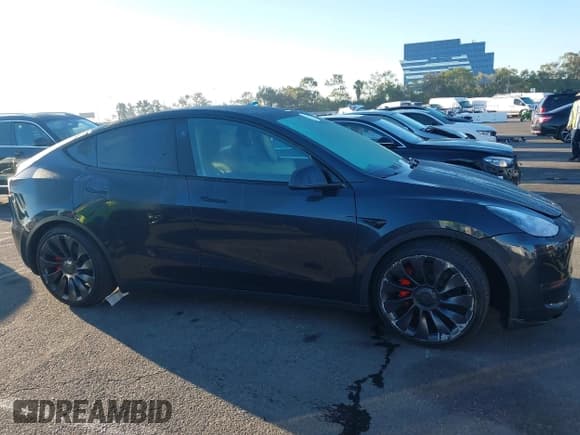 ✅ 2024 Tesla Model Y Performance • VIN: 7SAYGDEF9RF054062 • Lot: 43471873. Wystawiony na IAAI z przebiegiem 7 148 mil. Bezpłatny archiwum sprzedaży aukcyjnych z USA i szczegółowy raport historii pojazdu na DreamBid. Zdjęcie 13.