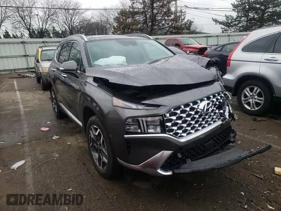 ✅ 2022 Hyundai Santa Fe SEL Premium • VIN: KM8S3DA1XNU058109 • Lot: 45647803. Wystawiony na Copart z przebiegiem 10 128 mil. Bezpłatny archiwum sprzedaży aukcyjnych z USA i szczegółowy raport historii pojazdu na DreamBid. Zdjęcie 12.