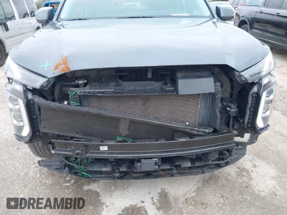 ✅ 2020 Hyundai Palisade SEL • VIN: KM8R24HE2LU134364 • Лот: 41411656. Опубликован ранее на IAAI с пробегом 63 566 миль. Бесплатный доступ к архиву аукционных продаж из США и подробный отчёт об истории автомобиля на DreamBid. Изображение 6.