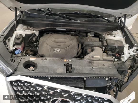 ✅ 2021 Hyundai Palisade Calligraphy • VIN: KM8R7DHE5MU240391 • Lot: 84463465. Listed on Copart with 75,875 mi. Free auction sales archive from the USA and detailed vehicle history report at DreamBid. Image 12.