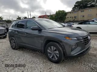 ✅ 2023 Hyundai Tucson Blue • VIN: KM8JBCA18PU084820 • Lot: 79495074. Wystawiony na Copart z przebiegiem 66 853 mil. Bezpłatny archiwum sprzedaży aukcyjnych z USA i szczegółowy raport historii pojazdu na DreamBid. Zdjęcie 4.