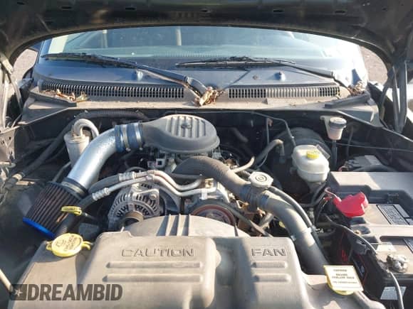 2003 Dodge Dakota with VIN 1D7GG16X03S317974, listed as a IAAI auction lot 42928125 with 120,110 mi miles and . Bid and sale history available at DreamBid. Image 10.