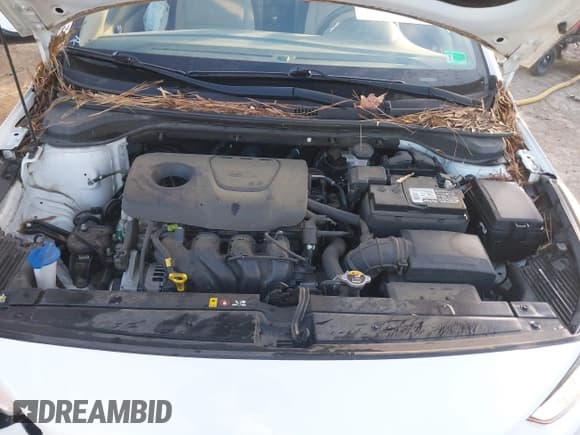 ✅ 2019 Hyundai Accent SE • VIN: 3KPC24A30KE039981 • Lot: 43678707. Wystawiony na IAAI z przebiegiem 73 673 mil. Bezpłatny archiwum sprzedaży aukcyjnych z USA i szczegółowy raport historii pojazdu na DreamBid. Zdjęcie 10.